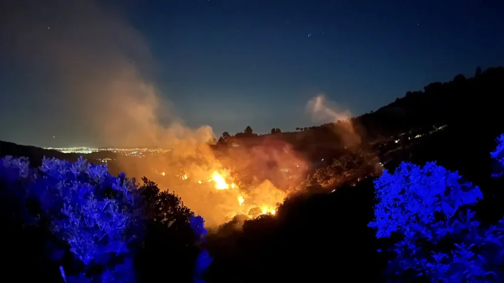 Birçok ilde orman yangın çıktı. İzmir ve Muğla’da müdahale sürüyor