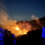Birçok ilde orman yangın çıktı. İzmir ve Muğla’da müdahale sürüyor