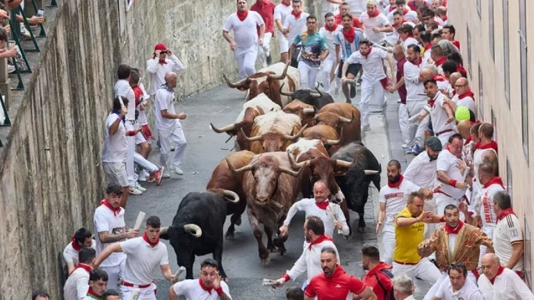 İspanya’da boğa koşularının bilançosu belli oldu
