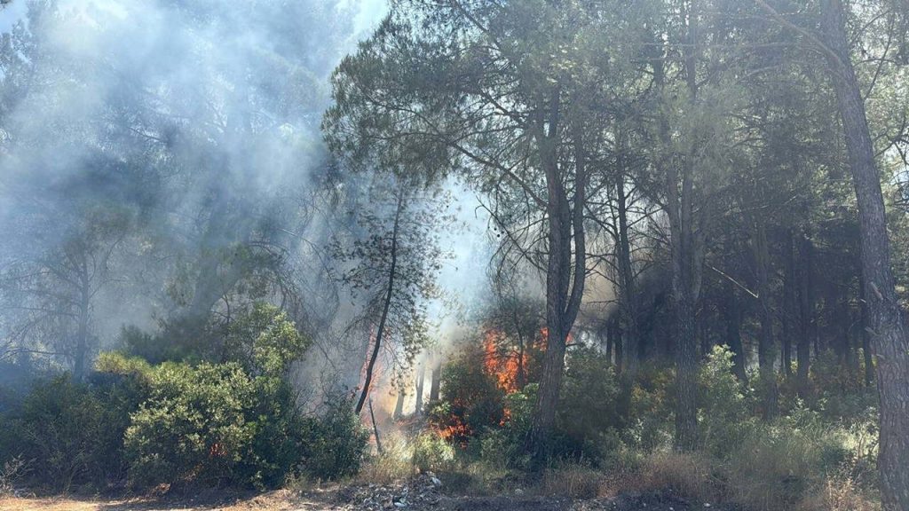 İzmir’in 2 ilçesindeki orman yangınlarına ilişkin 2 gözaltı