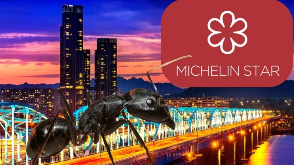 Michelin yıldızlı restoranın şefi, tatlıda karınca kullandığı iddiasıyla hapis istemiyle yargılanıyor