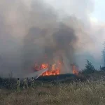 Muğla’da orman yangını. 5 hektar ziraat ve orman alanı zarar gördü, 1 kişi gözaltında
