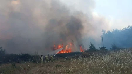 Muğla’da orman yangını. 5 hektar ziraat ve orman alanı zarar gördü, 1 kişi gözaltında Muğla’da orman yangını. 5 hektar ziraat ve orman alanı zarar gördü, 1 kişi gözaltında