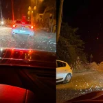 Sakarya’da milyonlarca kelebeğin ölüm dansı