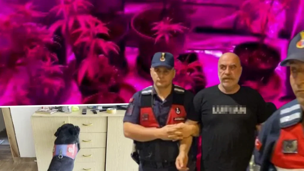 Uyuşturucudan gözaltına alınan Ezel Akay’ın evinden görüntüler ortaya çıktı: Sistem bile kurmuş
